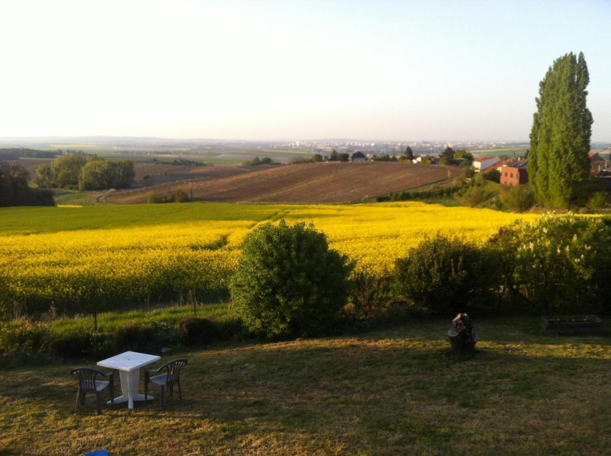 Villa Reims Epernay Champagne Vineyard Villers-Allerand Kültér fotó